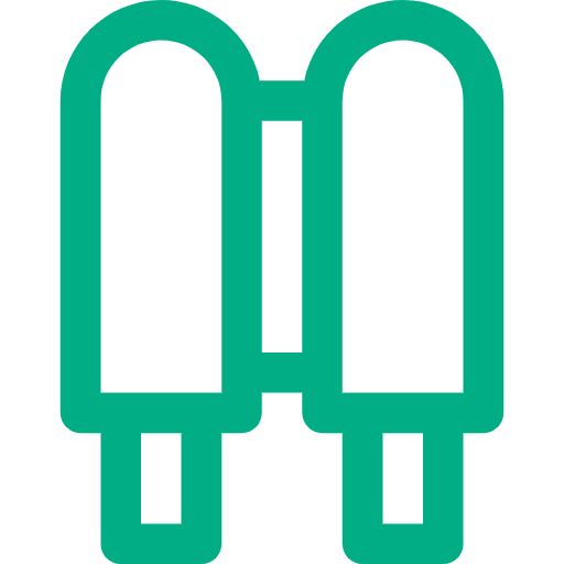 Power Capacitors